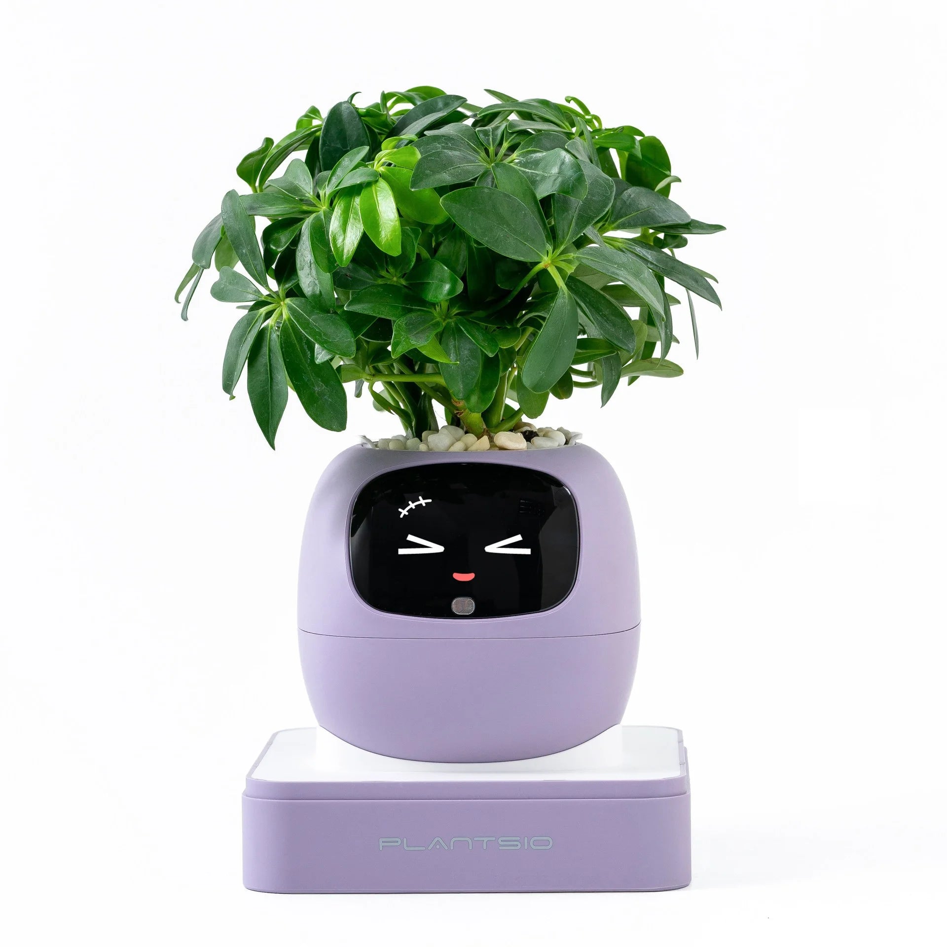 2026 NEW Second Generation Smart Planter Fun Over 49 Rich Expressions 7 Smart AI Chips Make Raising Plants Easy And Fun