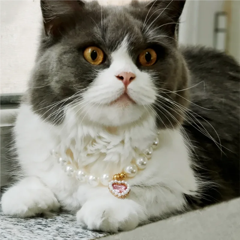 Adjustable Pet Pearl Necklace Accessories for Cats Gotas Animals Fashion Rhinestones Sphynx Cat Collar Kitten Dog collier chat