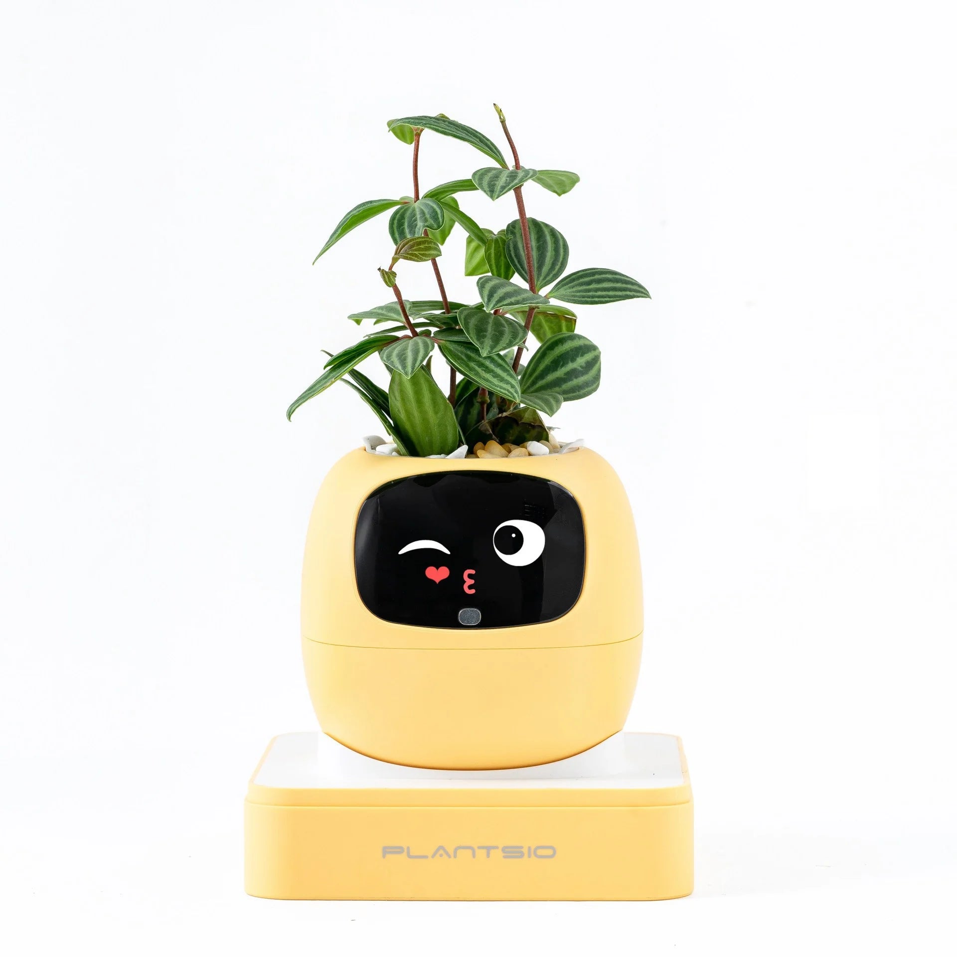 2026 NEW Second Generation Smart Planter Fun Over 49 Rich Expressions 7 Smart AI Chips Make Raising Plants Easy And Fun