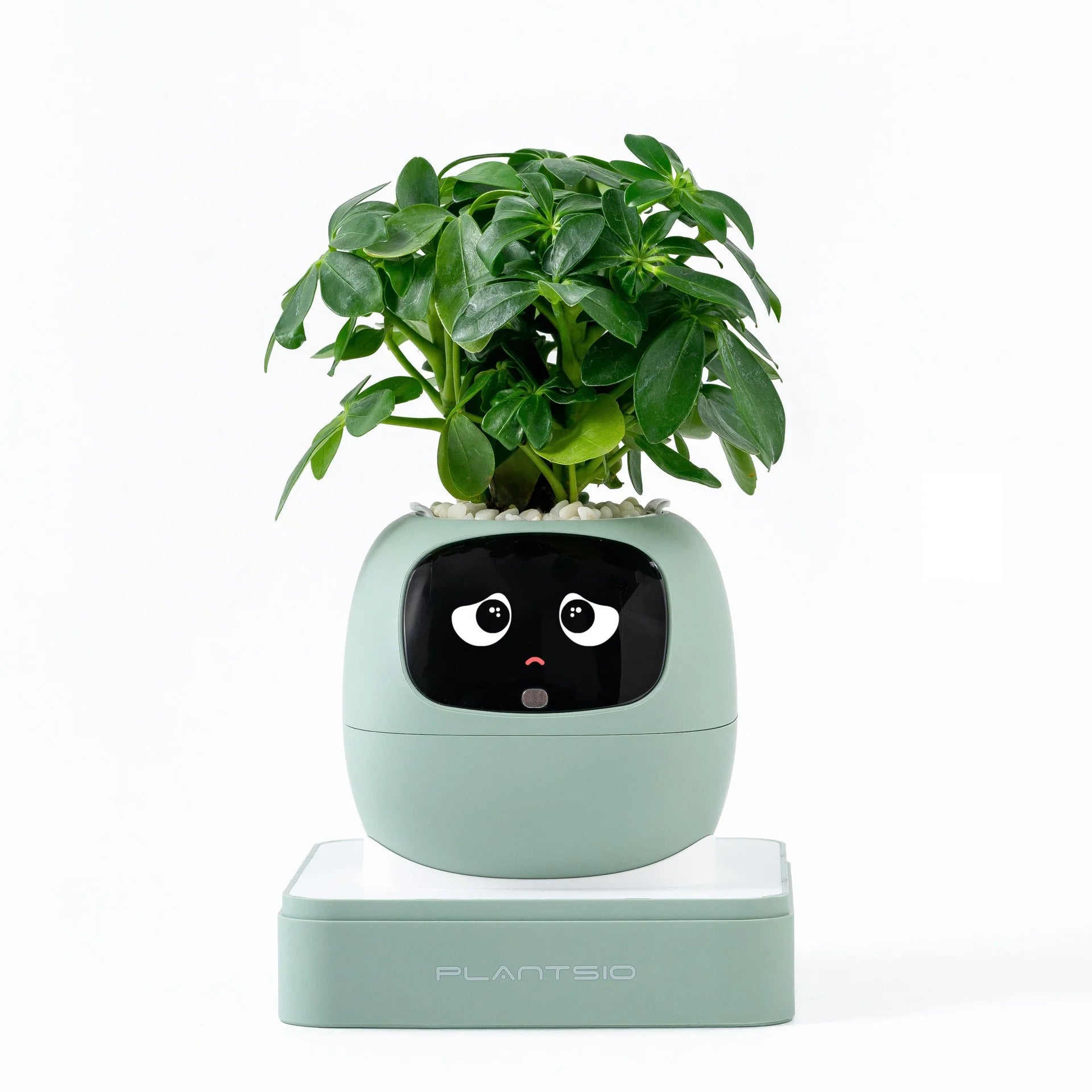 2026 NEW Second Generation Smart Planter Fun Over 49 Rich Expressions 7 Smart AI Chips Make Raising Plants Easy And Fun